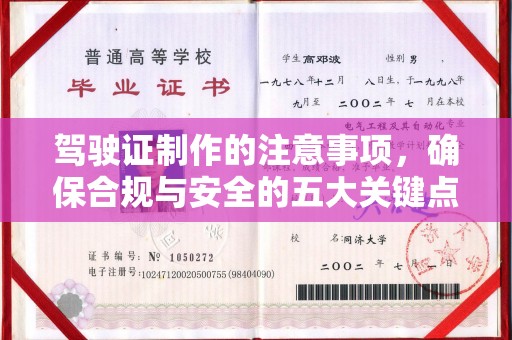 岭东驾驶证制作的注意事项，确保合规与安全的五大关键点