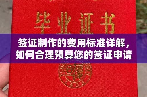 鼓楼签证制作的费用标准详解，如何合理预算您的签证申请成本
